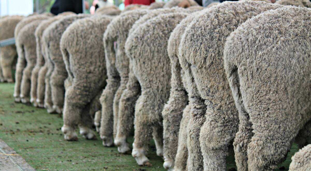 The Australian wool industry has been faced with two different global wool standards aimed at giving brands and supply chain members’ assurances wool has meet a level of production obligations.