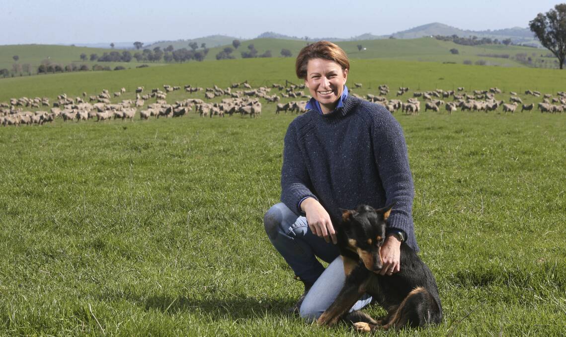 GROWTH INDUSTRY: Vicky Geddes says the sheep operation at Yallock, Holbrook, was high input but was delivering good results in the high rainfall area. Picture: ELENOR TEDENBORG