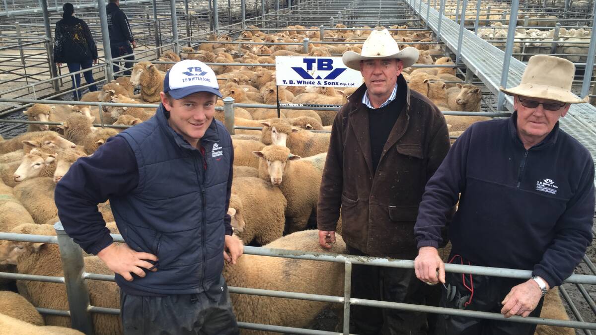 TB White & Sons' Xavier Bourke, James Gordon and Leo White, with KP Maher & Sons pen of 196 lambs sold at Ballarat saleyards for $221 a head.