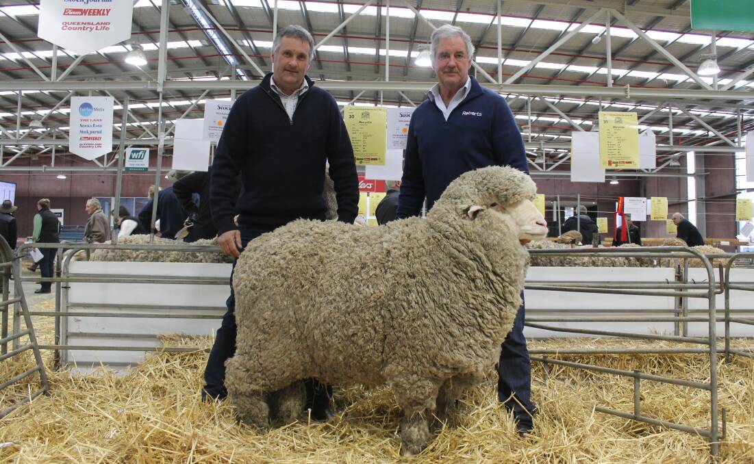Bruce Dunbabin (left), Mayfield Merino stud, with Andrew Calvert, Roberts, Tas, was part of the syndicate which purchased Merryville Poll Merino ram. 