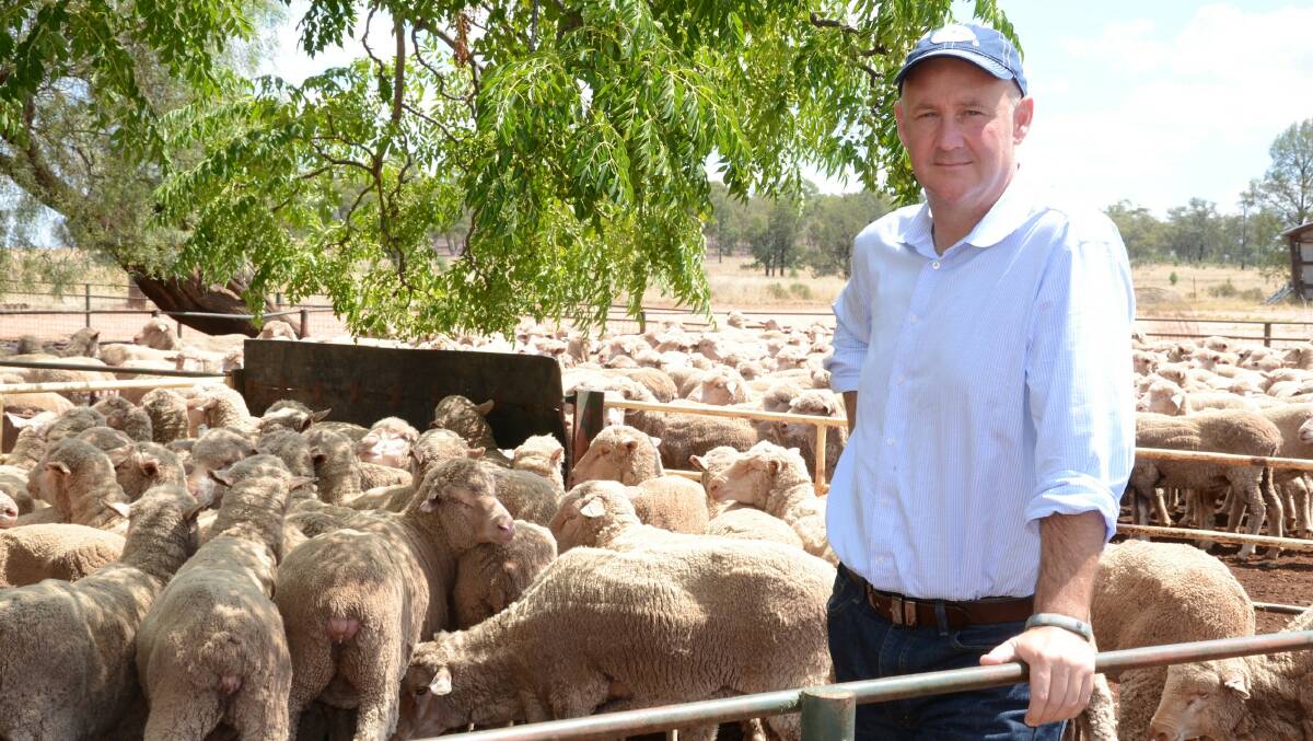 Wool revolution: AWI chief executive Stuart McCullough expects the WEP steering committee to be established by June and the business plan to be completed by December this year.