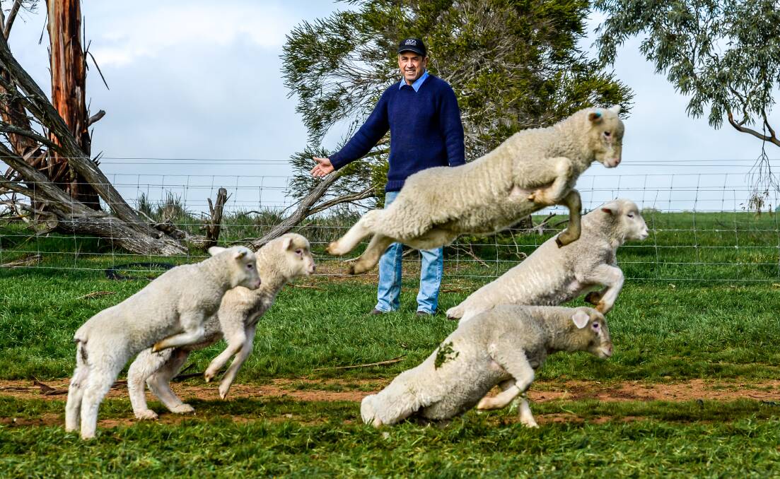 LambEx keynote speaker Paul Higgins will speak about the industry's contracted volumes and demand high. Pictured Lamb producer Charles de Fegely on his property at Dobi, near Ararat, Victoria.