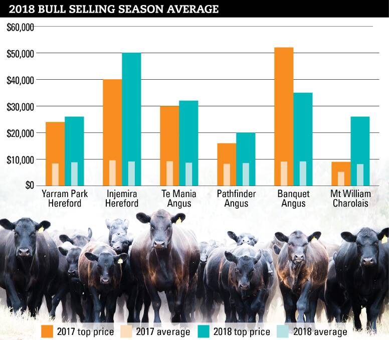 BULL SALE SEASON: With the autumn 2018 bull selling season almost over, reports in Stock & Land show an increase in the number of bulls sold for the season, while clearance rates dipped slightly.