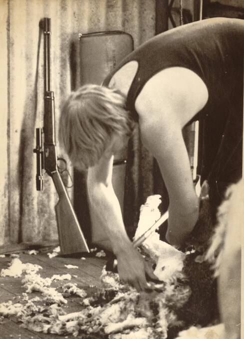 A Lucindale, South Australian shearer is guarded by a rifle during the 1983 wide comb dispute - another industry fight that was battled across the nation. 