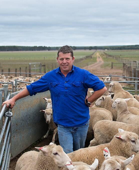 Focused on ewe: Philip Gough's crossbred ewe flock redirection has lifted the number of lambs per ewes joined from 85pc to nearly 150pc. Photo: Sandy Goddard