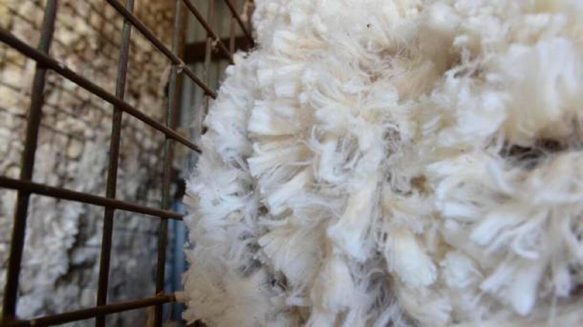 Despite the current COVID-19-induced slump in the global market in 2020, Merino wool prices have performed marginally better than those for most other textile fibres in the past three years.