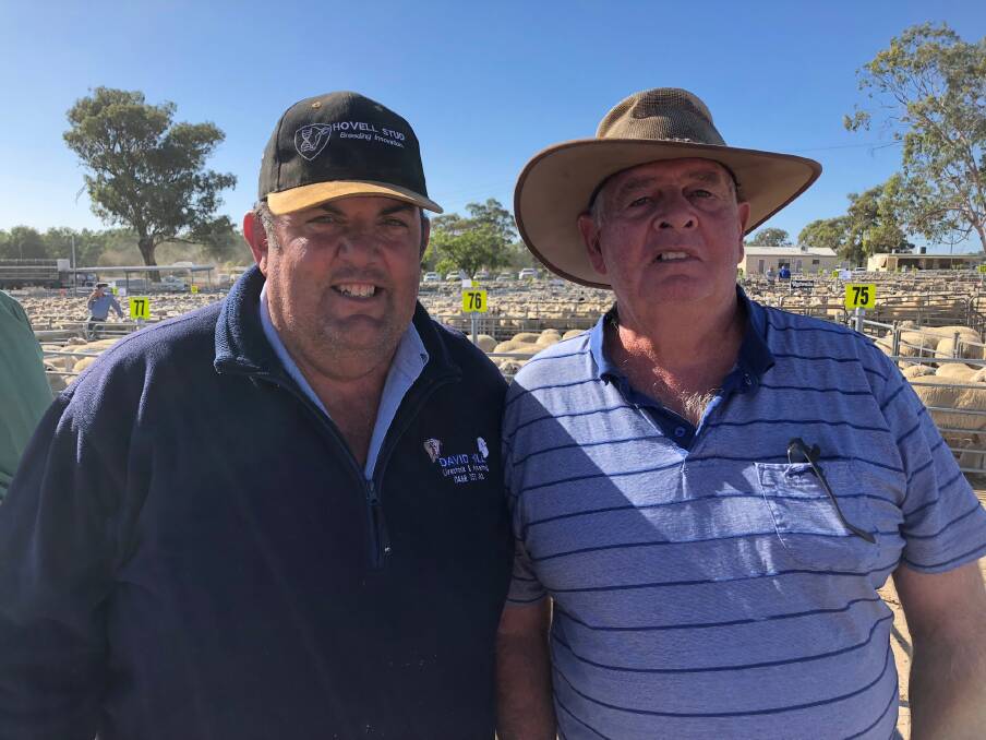 TOP PRICE: David Hill from Elders Ltd Albury with Brendan O`Connor of "Elmslie" Jindera who sold shorn lambs to a top of $245 is one of the many producers benefiting from good prices.