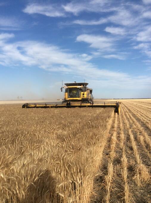 MORE PRODUCTIVITY: With Australia's high cost of production for crops like wheat, Malcolm Bartholomaeus says we need to produce more grain from our available growing season rainfall to be competitive.