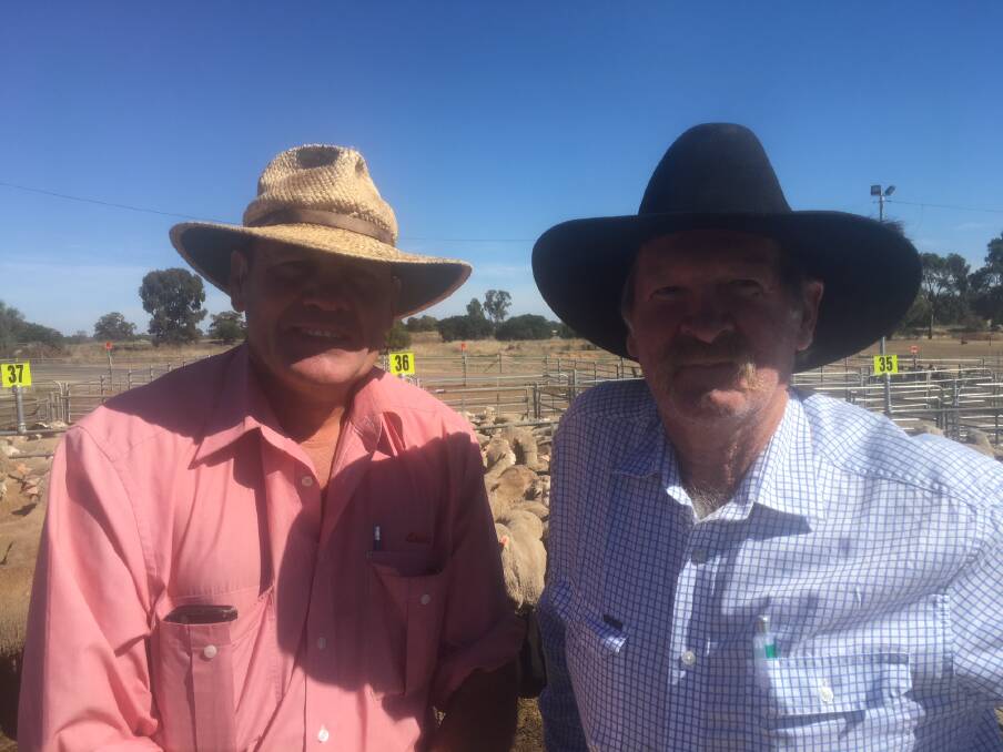 TO MARKET: Steve Grantham from Elders Ltd Corowa with Ken Connley "Rosevale" Benambra, who sold 446 lambs to a top of $122.60. Summer lamb rates may have peaked as increasing numbers of contract lambs head for processing.