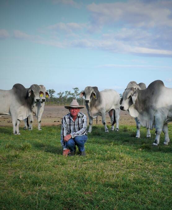 GLENBOROUGH owner Lance Pope with the bulls the stud will be selling at Gold City. All the young bulls have been sired by FBC Roper Manso.