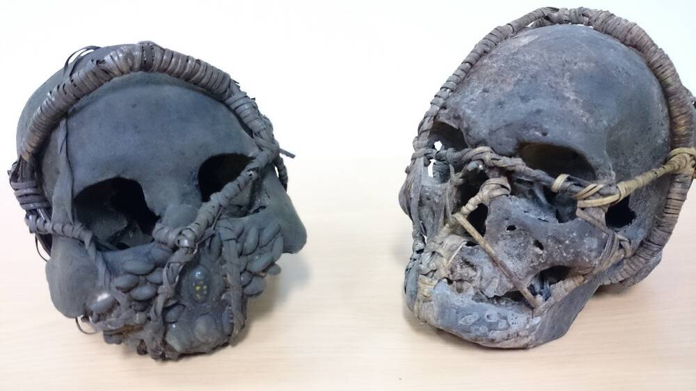 Tribal skulls - one of the items seized by Australian biosecurity officials. Picture supplied.