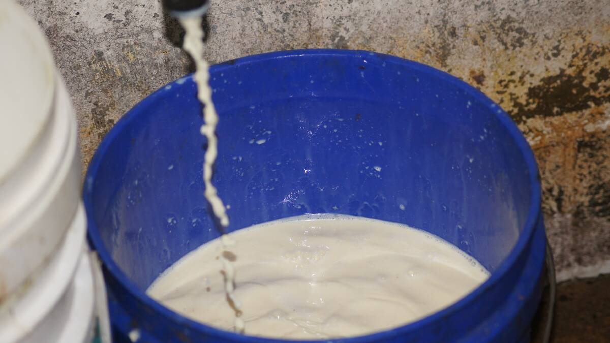 45pc of dairy farmers expect 2016-17 profit