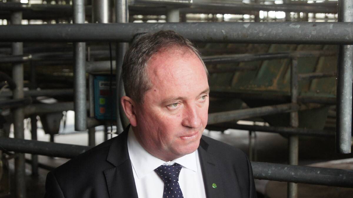 Agriculture and Water Resources Minister Barnaby Joyce in action on farm responding to the dairy crisis in Victoria this week.