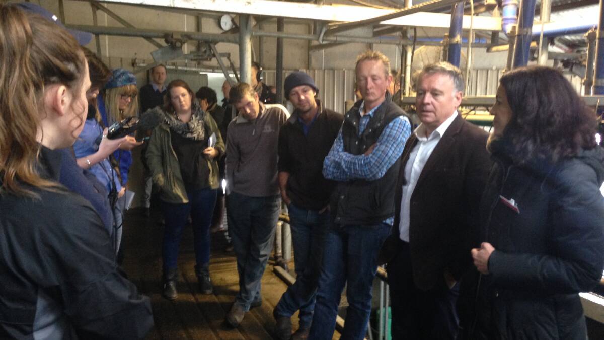 Fitzgibbon demands banks help ease dairy farmer pain