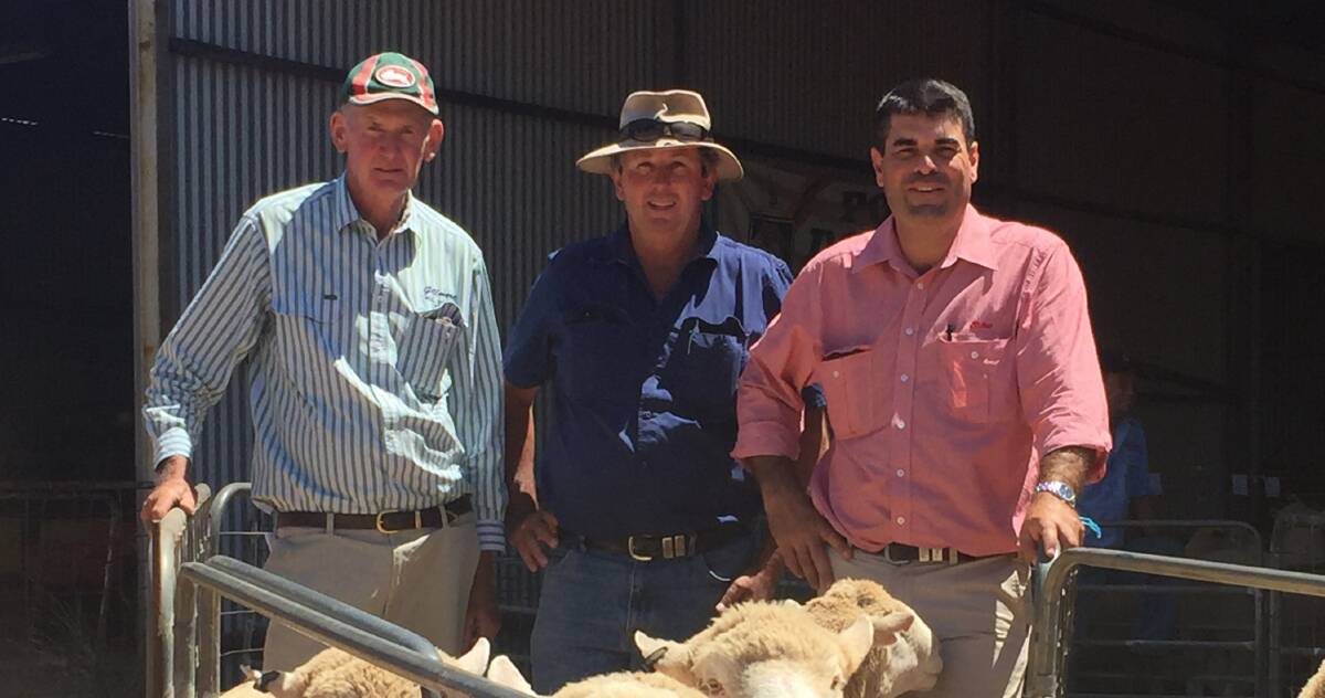 Gillmore studmaster Les Ryan, Yeoval, with multi-lot buyer Ted Hodges,Avoca, Baldry, who bought 14 rams, and auctioneer Martin Simmons, Elders, Dubbo.