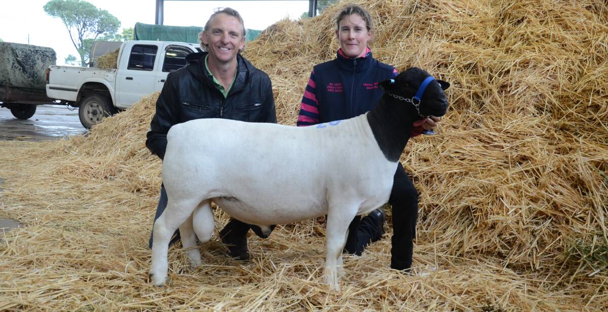 Western Australian Dorper breeder Kim Batten, Douwana Dorpers, Yuna, paid $15,000 for Dell Grobelaar, held and sold  by Andrea van Niekerk, Dell Dorpers, Moama.