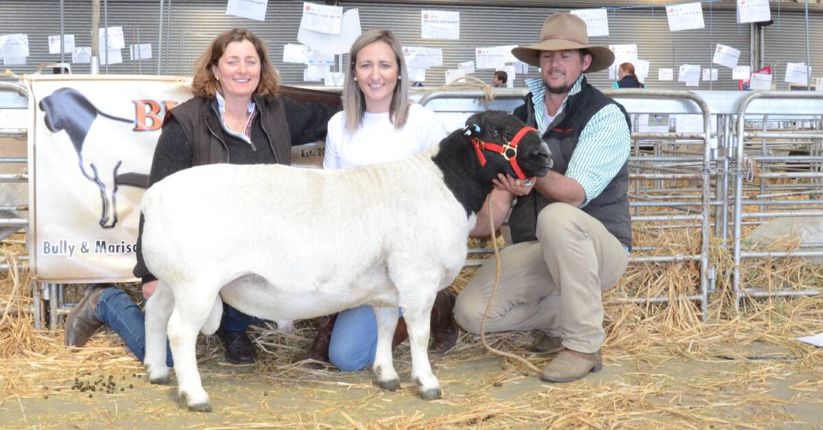 Annabel Mangal, Genelink Dorpers, Nairne, South Australia, with the $10,500 ram bought with Glen Park Dorpers, Wentworth; vendors Marisa and Bully Malherbe.
