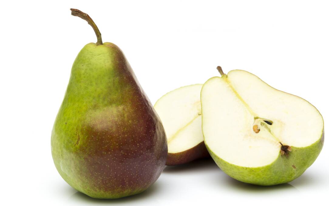 NEW GUY: The Australian-bred Deliza pear was one of the pears tested with Indonesian consumers and found high acceptance. Picture: APAL.