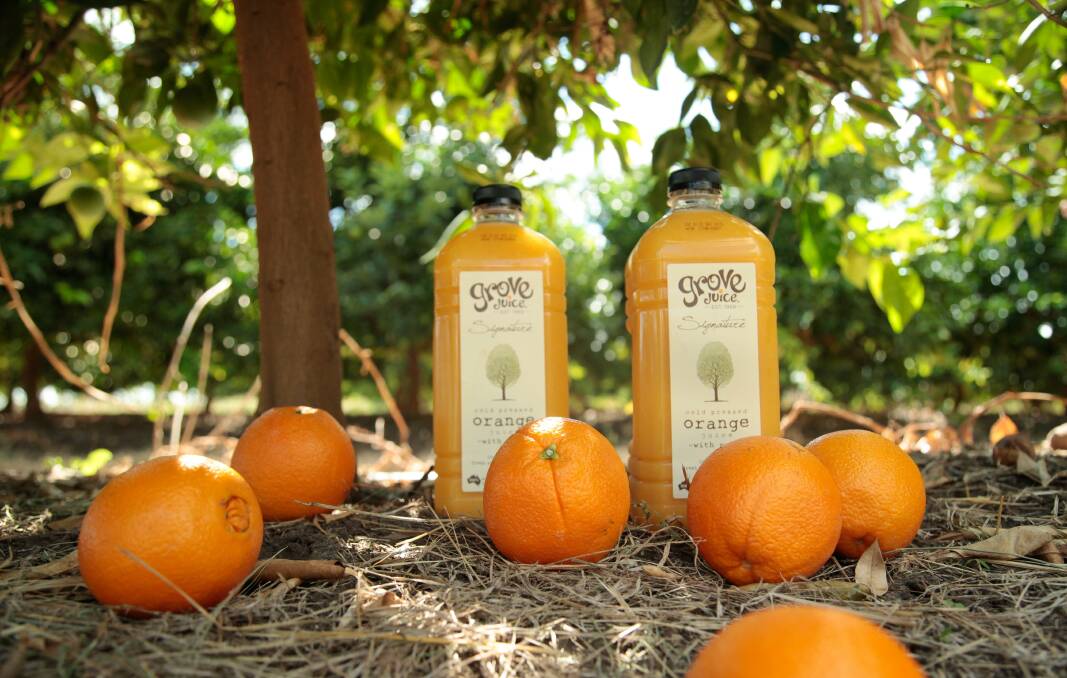 GROWTH OUTLOOK: Have established a firm position on Australian supermarket shelves, Grove Juice is now looking to secure Asian export contracts. 