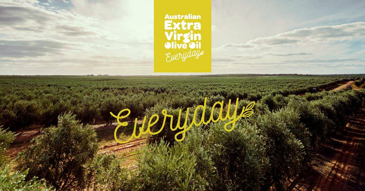 VISUAL APPEAL: One of the images being used as part of the Australian Olive Association's new "Everyday" campaign to promote extra virgin olive oil.