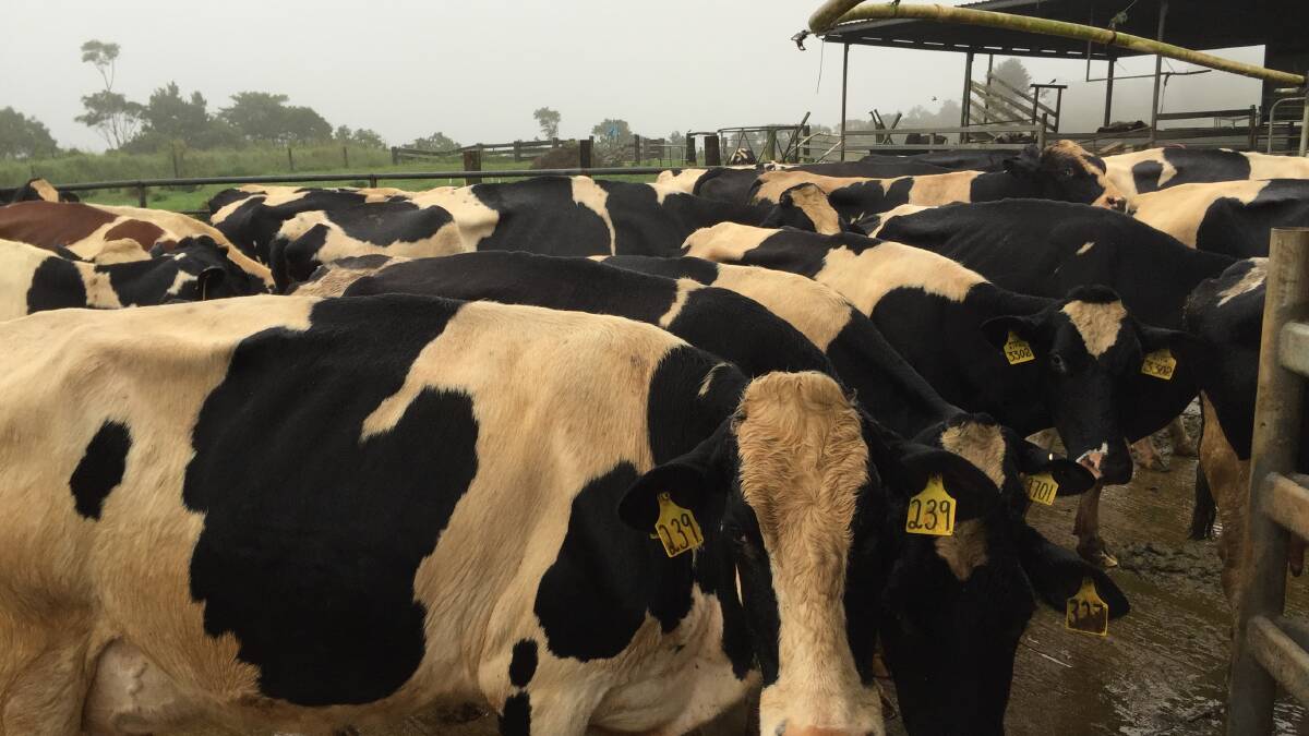 Dairy farmers tired of misleading PR
