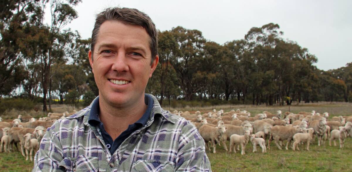WINNER ARE GRINNERS: The Rock Merino breeder Darren Bahr has won the three-year Ovens Valley Wether Trial, which wrapped up at Everton this week.