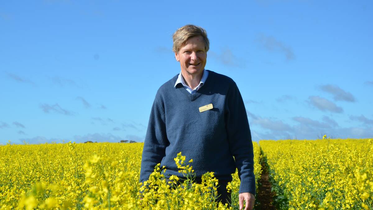 BEST CONTROL: Trials conducted by University of Adelaide weed management associate professor Chris Preston have shown break crops are paramount to controlling brome grass populations. 