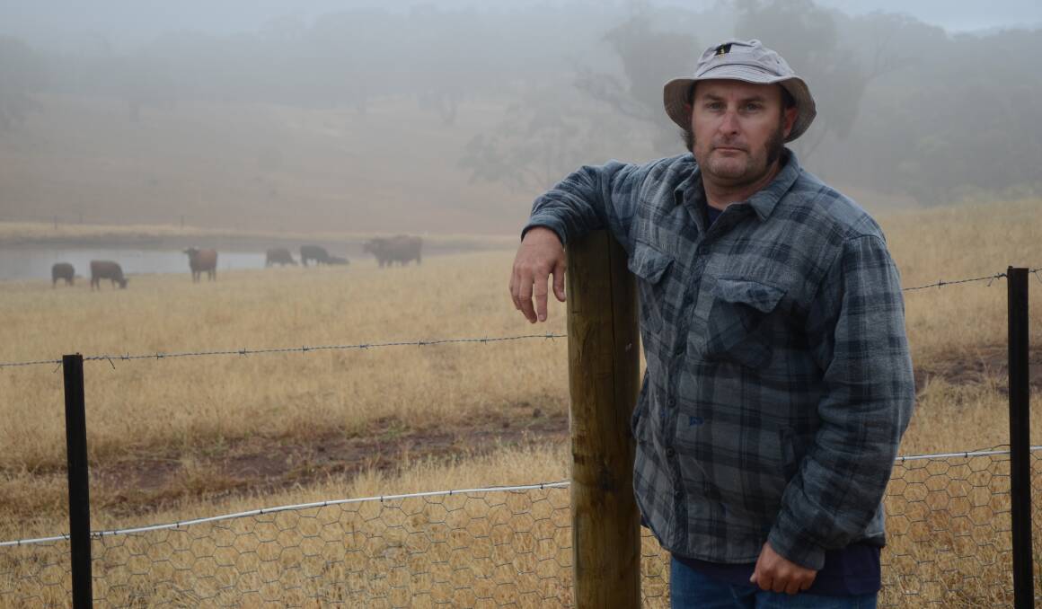 ANSWERS SOUGHT: Chris Sharp, Spring Gully, lost eight cattle this year, and believes the losses are connected to a rabbit virus - a claim ruled out by PIRSA and a local veterinarian.  