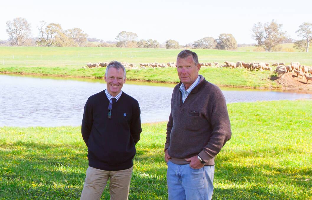 TOP FLEECE: Australian Wool Network SA wool marketing manager Rod Miller and John Angas, Hutton Vale Farm, Eden Valley.