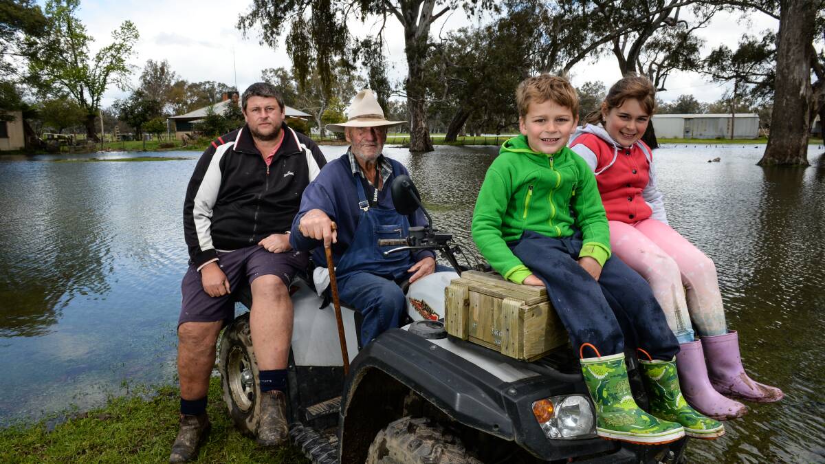 Greg Gardiner, Phil Rau and Greg's children, Jake, 6, and Emma, 8, move cattle from the Bonegilla Island farm amid rising floodwaters following water releases from Lake Hume on Monday. Pictures: MARK JESSER
