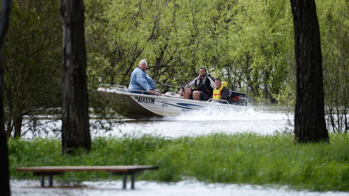 Bonegilla Island farmers John Rau, Greg Gardiner and Peter Steer take to a boat to move as a submerged table reveals the rising flood level near Waterworks Road in Albury. Picture: MARK JESSER