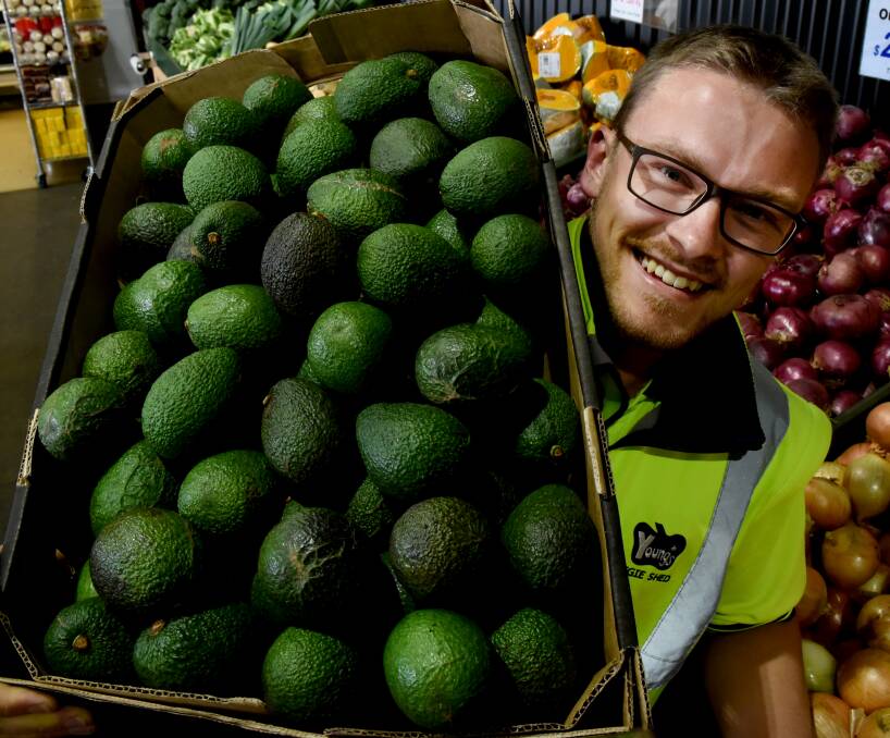 AVO-ING A GOOD TIME: Hayden Reeve at Young's Vegie Shed with Tassie grown avocados. Picture: Neil Richardson.