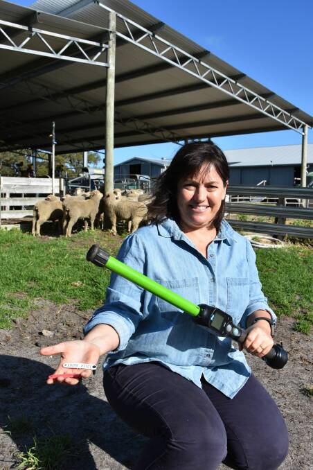 MANY BENEFITS: Michelle Cousins from Cousins Merino Services said many of her sheep clients were now recording pregnancy scanning results through their eID tags. 