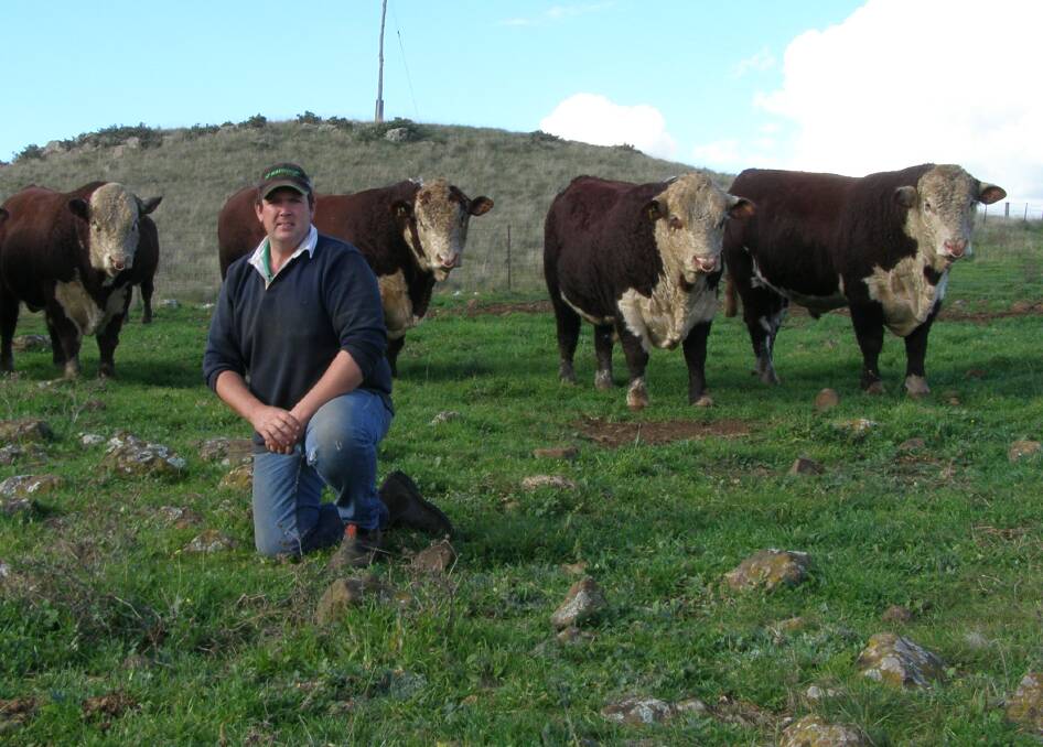 Robert Hain, Gunyah Herefords, Cooma. Gunyah has supported the event since it's inception and considers it as a major opportunity to showcase stock. 