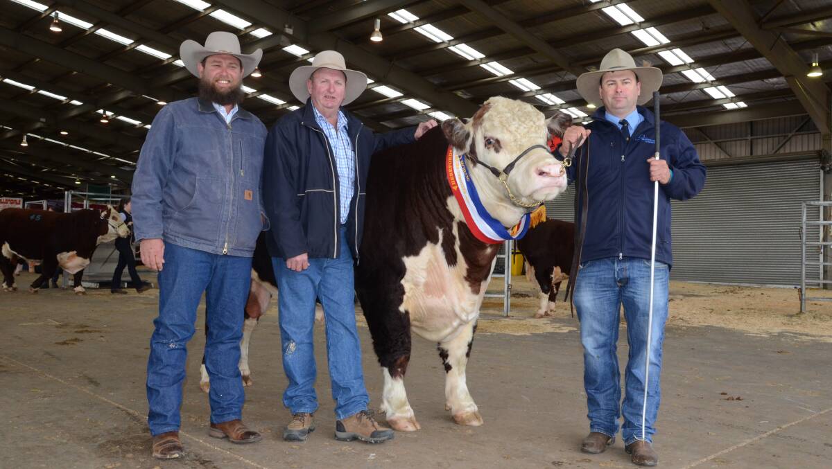 Devon Court stud, Drillham, Queensland and Cascade stud, Currabubula, paid in partnership the $47,000 top-priced bull  Allendale Washington K5.
Pictured is Tom Nixon of Devon Court stud and Jack Smith of Cascade stud with Alastair Day of Allendale stud, Bordertown, South Australia.