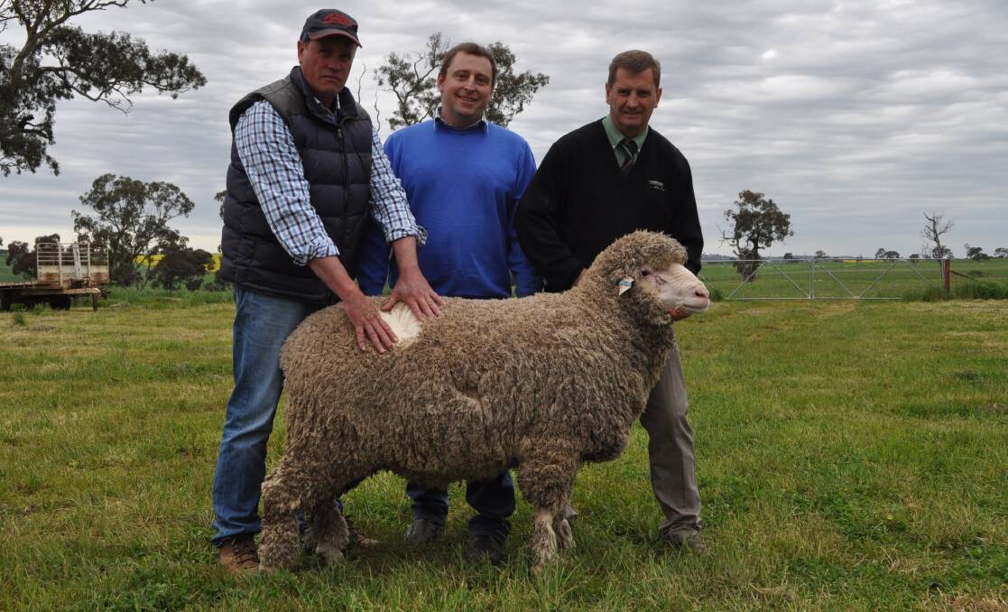 The top-price ram was purchased by Shaun Beasley, East Gippsland, Victoria, for $6000. Pictured is Craig Wilson, Craig Wilson and Associates, Wagga Wagga, Michael Corkhill, Grassy Creek, and Rick Power, Landmark Studstock.