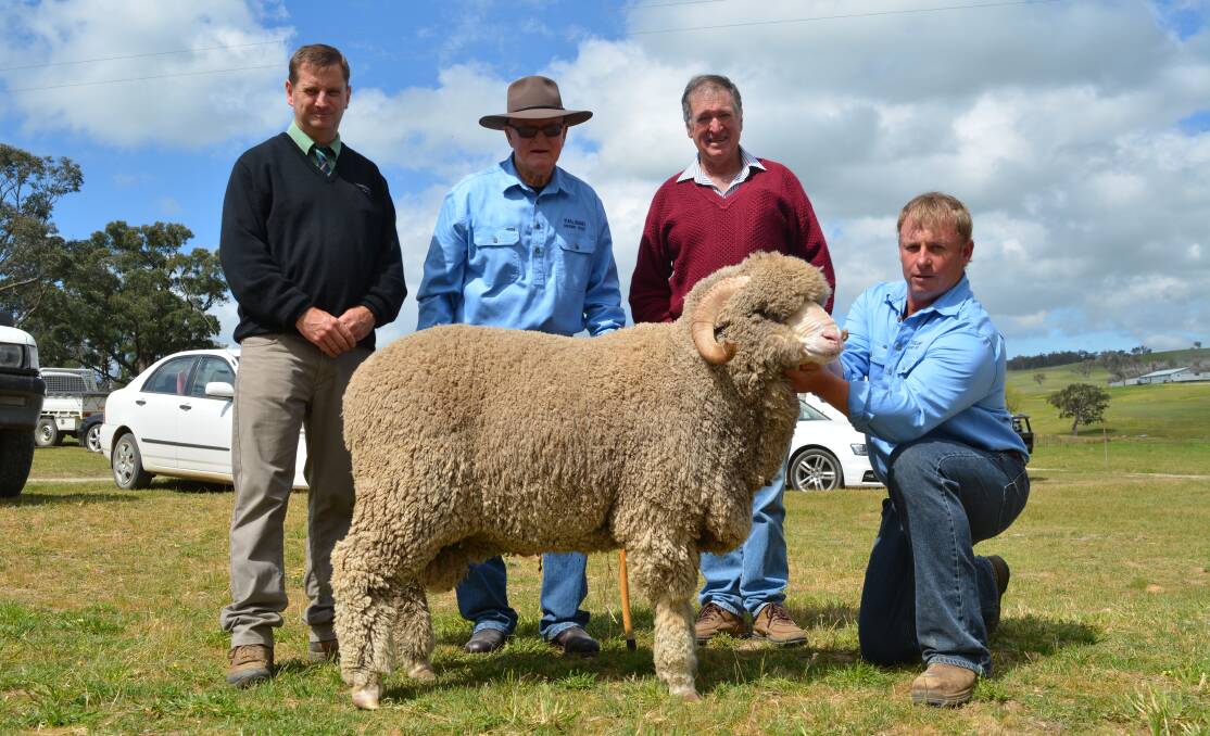 Thalabah's top-price ram held by Anthony Frost, Thalabah stud, Laggan. Pictured from left is auctioneer, Rick Power, Landmark stud stock Boorowa, John Williams, Thalabah stud, and purchaser of the $4500 top-price ram, Lindsay Picker, "Pleasant View", Binda. 