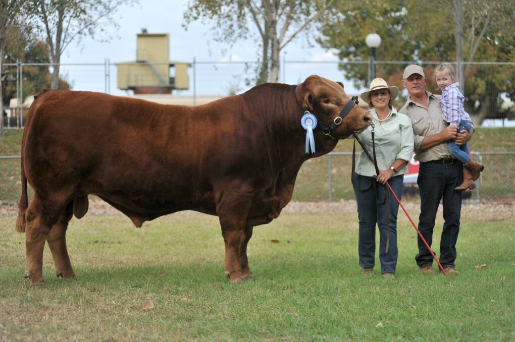 Last year's top-price bull which sold for $20,000 sold by Karen and Garry Hedger, Garren Park Limousin stud, Culcairn with Bonny Murphy, Wangaratta.