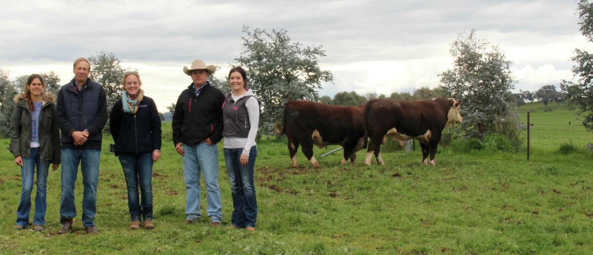 Tom and Sophie Holt, Coonong Station, Urana, who purchased a top-price bull for $12,000 with Kanimbla co-owners James and Belinda McWilliam.