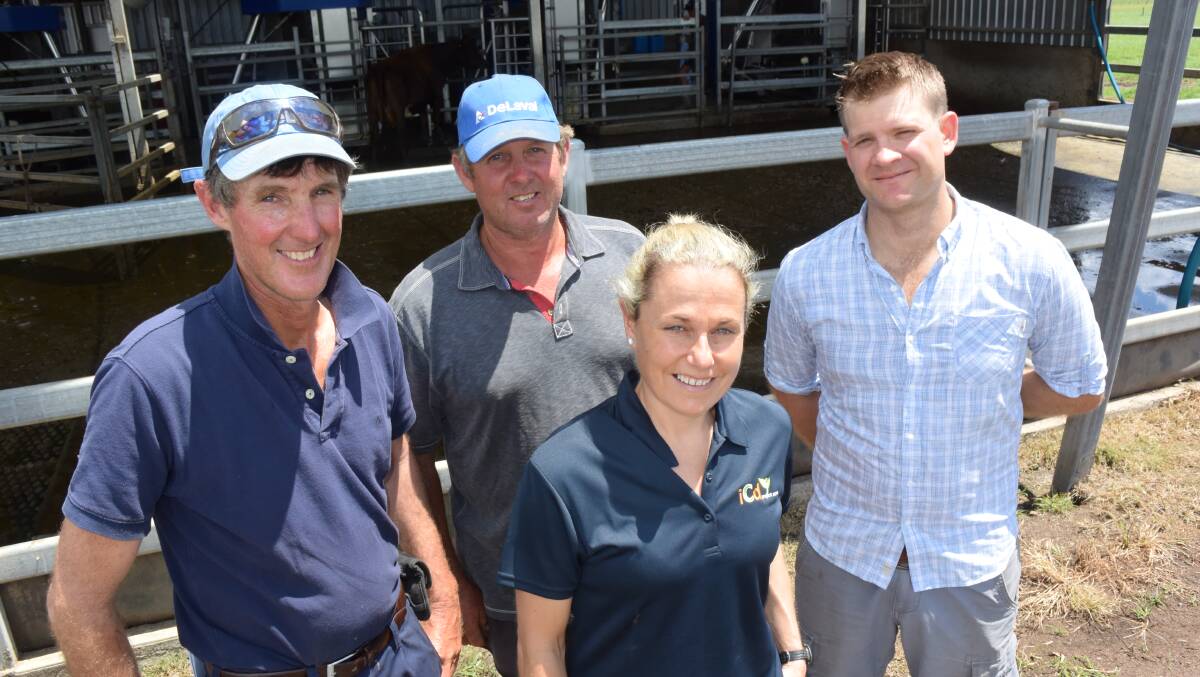 Wayne and Paul Clarke, Dobies Bight via Casino, with Marguerite White, co-ordinator of the 'More Profit for Nitrogen' project with Dr David Rowlings, Queensland University of Technology, who is leading the on-farm nitrogen and pasture efficiency investigation.