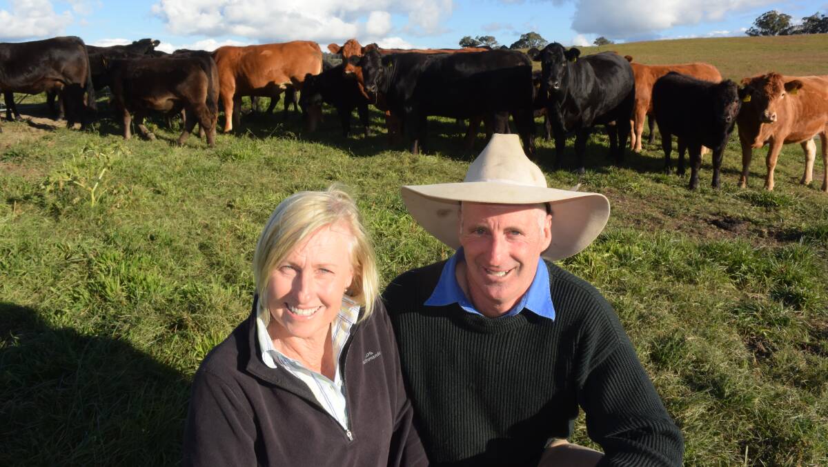 Kerrie and Jeff Etheridge, Red Rock Limousins, Yarrowitch, with their first calf drop by Flemington Joker, which topped the Limousin National at Wodonga in 2015. The bull is transforming their herd.