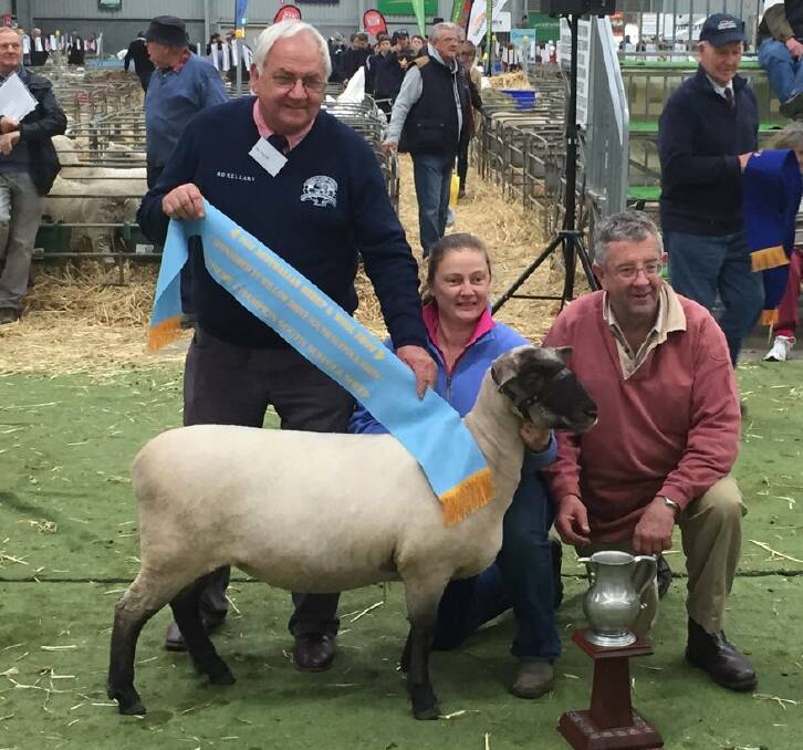 Australian Sheep and Wool Show | Live coverage