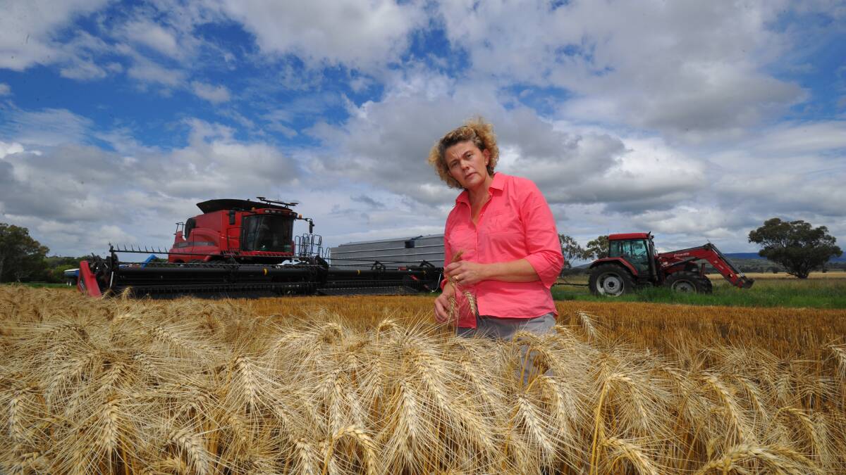 NFF President Fiona Simson pointing out the energy cost needs of farmers ahead of the Finkel report's release.