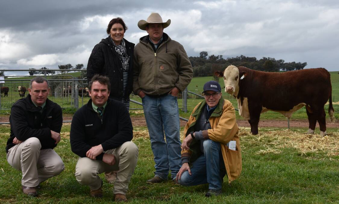 Auctioneer Peter Godbolt, with Tim Woodham, who purchased $13,000 top price bull on behalf of Quamby Plains and Chester Poll Hereford studs and Kaminbla principals Belinda and James McWilliam and Mark Baker.