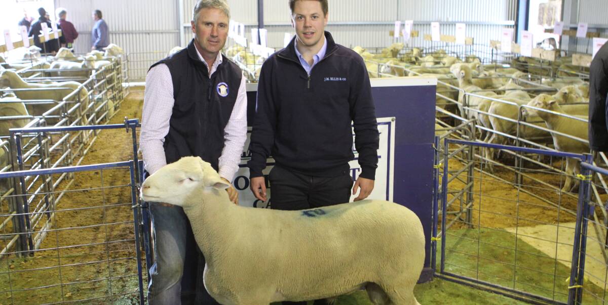 Top price: Claronden Poll Dorset Ram Sale principal Aaron Pascoe and J.M Ellis & Co agent James Pike with the top-priced ram, purchased by WA Poll Dorset Stud Laurie Fairclough for $3000.