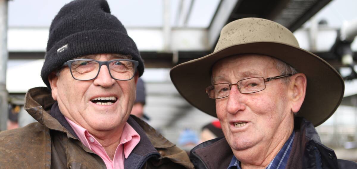 Solid sales: Allan Lahey and Frank Hollis have spent more than 100 years combined selling cattle and say prices are the best they've seen. 