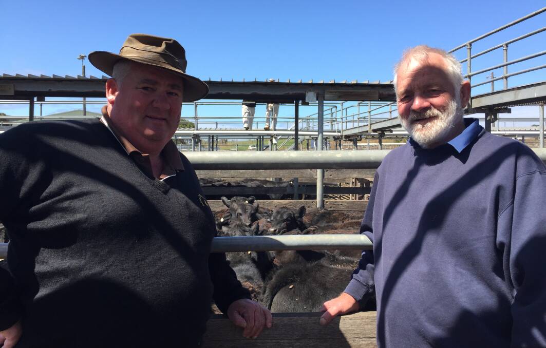 Restocking: Livestock Agent Tim Healey and Bullaharre farmer Peter Walker said market prices were very good at the November Store Cattle Sale on Friday.  