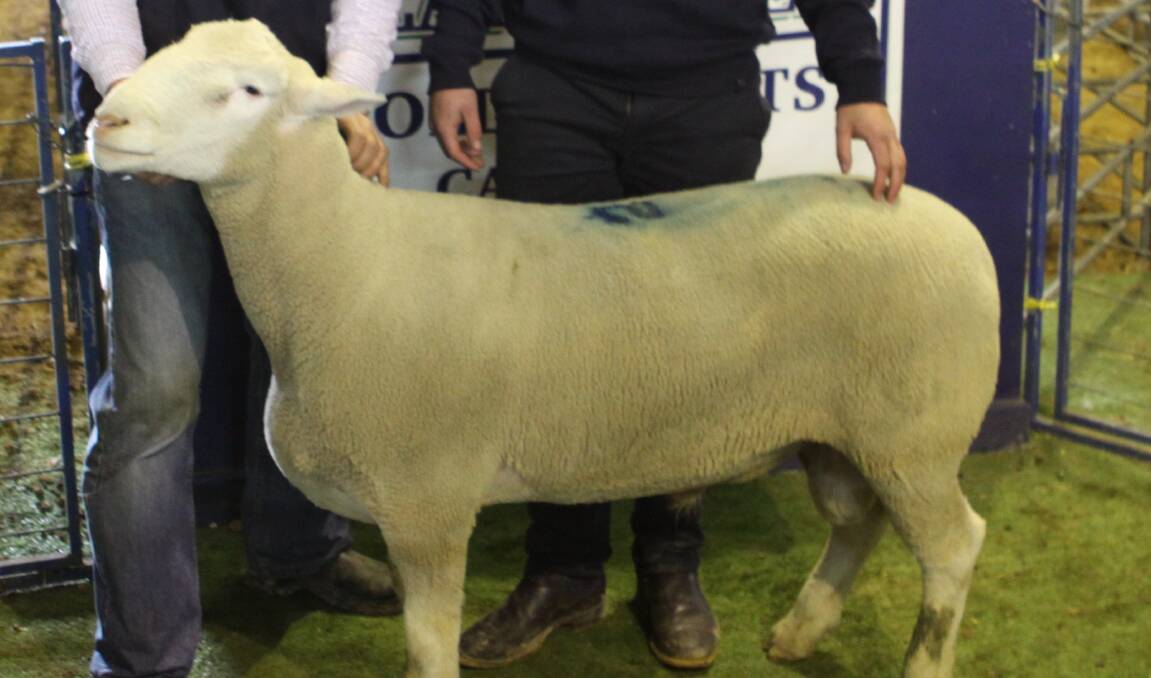 Good year for ram sale