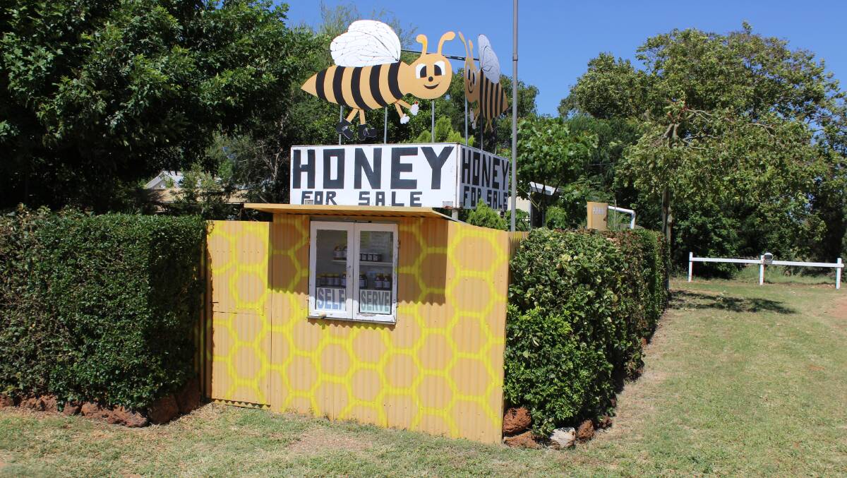 A man’s passion for honey
