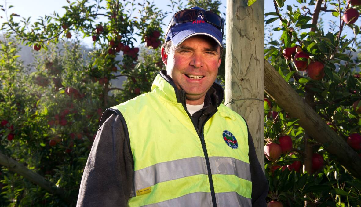 TOP PICK: Howard Hansen takes advantage of Tasmania's cool climate to grow premium apples and cherries, the latter born out of his study at Marcus Oldham.

